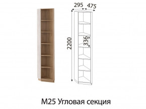 М25 Угловая секция в Арамиле - aramil.magazinmebel.ru | фото