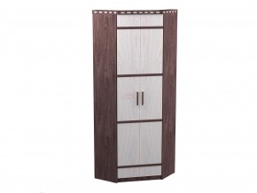 шкаф 2-х дверный угловой в Арамиле - aramil.magazinmebel.ru | фото