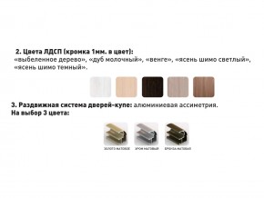 Шкаф-купе Акцент-Сим Д 1000-600 шимо тёмный в Арамиле - aramil.magazinmebel.ru | фото - изображение 3